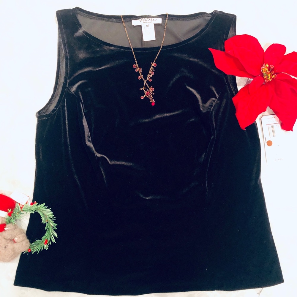 NWT! 🎁 great gift! Patra stretch velvet top